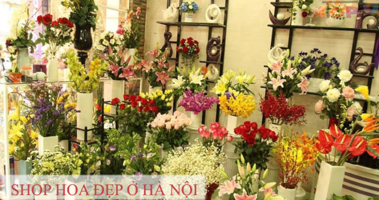 nhung-shop-hoa-dep-o-ha-noi-ma-ban-khong-nen-bo-qua